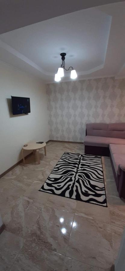 Tecuci Apartment In The Center キシナウ エクステリア 写真